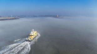 'Trattative in corso Usa-Iran per cessate il fuoco in cambio apertura Hormuz'