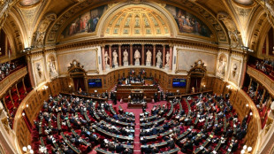 Ing&eacute;rences &eacute;trang&egrave;res: un texte d&eacute;battu au S&eacute;nat, la Nouvelle-Cal&eacute;donie en toile de fond
