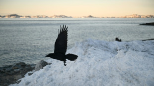Patrulha de tren&oacute;s Sirius: a elite que vigia os confins in&oacute;spitos do &Aacute;rtico na Groenl&acirc;ndia