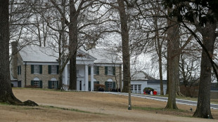 Four years in prison for woman who plotted to sell Elvis's Graceland