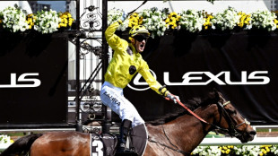 Without a Fight wins Melbourne Cup as Zahra triumphs again