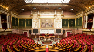 L&eacute;gislatives: la macronie cherche une alternative &agrave; la gauche, le RN arrive &agrave; l'Assembl&eacute;e