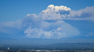 Les environs de Los Angeles parsem&eacute;s d'incendies en progression