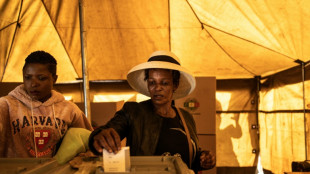 Vote tendu au Zimbabwe, le pr&eacute;sident "Crocodile" s'accroche au pouvoir