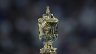 Afrique du Sud-Nouvelle-Z&eacute;lande, apoth&eacute;ose de la Coupe du monde de rugby 