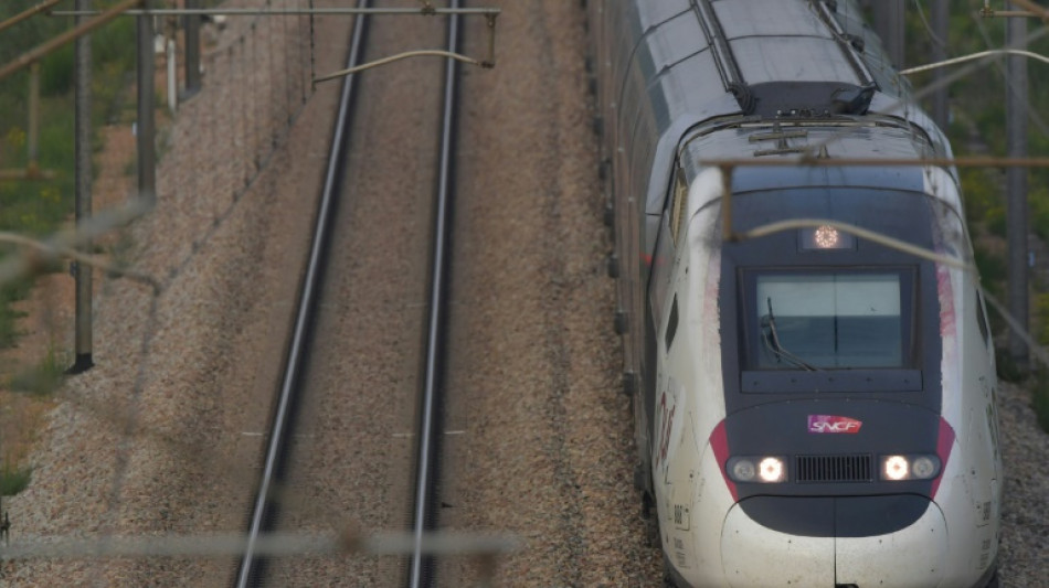 Apr&egrave;s l'A69, des &eacute;cologistes s'opposent dans les arbres &agrave; la LGV Bordeaux-Toulouse