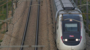 Apr&egrave;s l'A69, des &eacute;cologistes s'opposent dans les arbres &agrave; la LGV Bordeaux-Toulouse