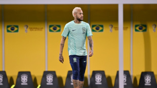 Brasile&ntilde;os y argentinos ante neerlandeses y croatas en la recta final del Mundial