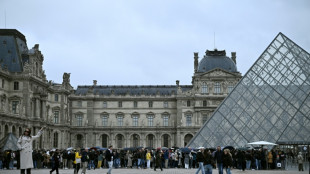 Louvre: la police aux trousses des voleurs, la sécurité des musées en cause