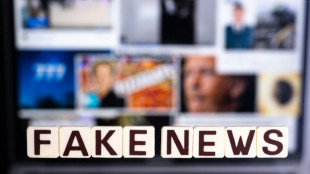 Harcel&eacute;s, menac&eacute;s... Les tourments des fact-checkeurs dans le monde