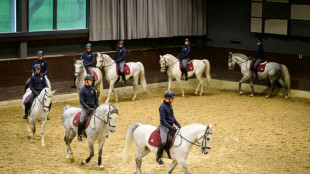 Criadores de caballos lipizzanos celebran su inclusi&oacute;n en la lista de la UNESCO
