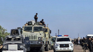 Une ONG accuse les forces syriennes d'avoir tué 12 civils druzes