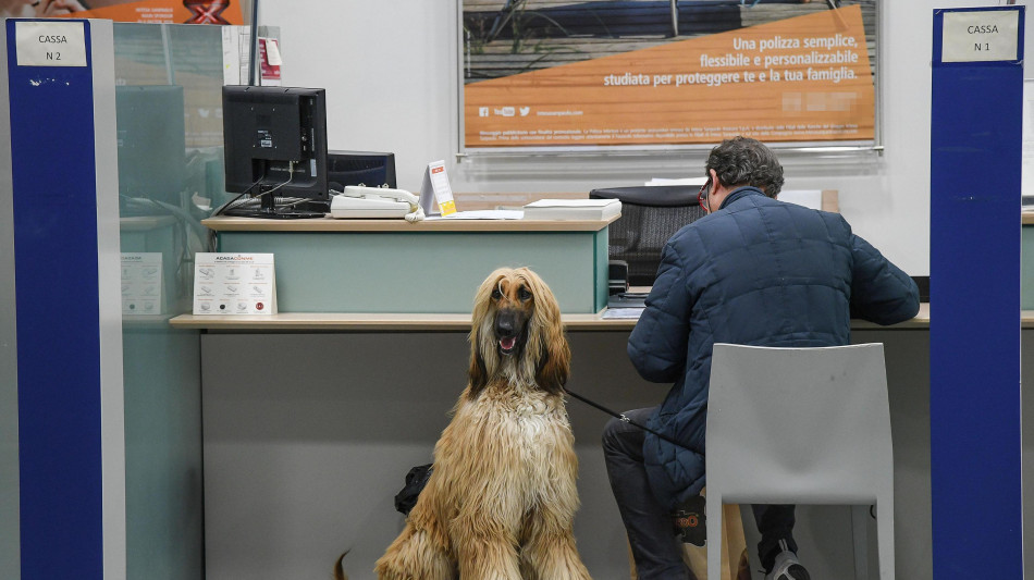 Crif, più italiani accedono al credito ma per importi minori