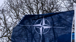 Trump: Nato-Staaten sollten Verteidigungsausgaben auf f&uuml;nf Prozent erh&ouml;hen 