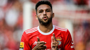Foot: l'attaquant portugais Gon&ccedil;alo Ramos s'engage avec le PSG (club)