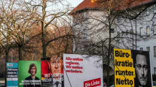 Studie: Bei Menschen mit Migrationshintergrund hat SPD h&ouml;chstes W&auml;hlerpotenzial