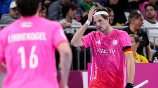 Hallen-EM: Hockeym&auml;nner verpassen Finale