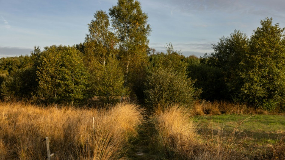 L'UE parvient &agrave; un accord sur un texte cl&eacute; sur la biodiversit&eacute;