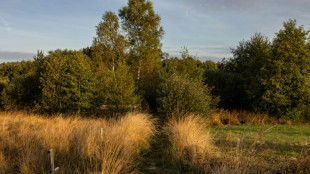 L'UE parvient &agrave; un accord sur un texte cl&eacute; sur la biodiversit&eacute;