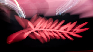 Rai Cinema al 79/o Festival di Cannes in tre coproduzioni internazionali