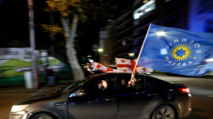 G&eacute;orgie: avant une manifestation d'opposition, le pouvoir assure que l'UE reste sa "priorit&eacute;"
