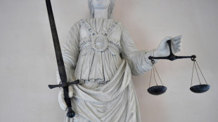 Frenchwoman accused of libel over Nazi 'collaborator' family novel