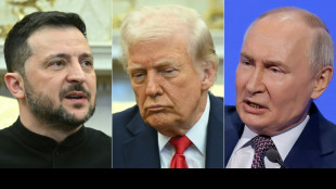 Russian delegation, without Putin, arrives in Istanbul for Ukraine talks