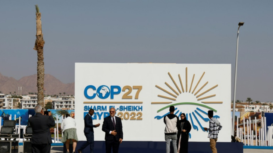 Alemania critica la situaci&oacute;n de los DDHH en Egipto, sede de la COP27
