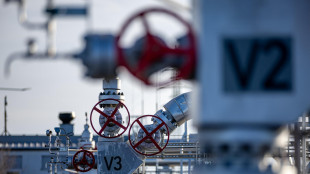 Il gas chiude in calo a 31,23 euro sulla piazza Ttf di Amsterdam