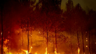 Los incendios arrasaron 98.000 hect&aacute;reas en Francia, un r&eacute;cord desde 1976