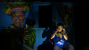 En Amazonie &eacute;quatorienne, le "chemin sacr&eacute;" de l'ayahuasca
