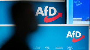Bayerns Regierungschef S&ouml;der gegen AfD-Verbotsverfahren: "Falscher Weg"