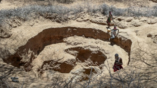 Corne de l'Afrique: 2,4 milliards de dollars r&eacute;colt&eacute;s pour &eacute;viter une famine