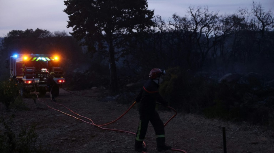 L'Occitanie en proie aux flammes dans l'H&eacute;rault et les Pyr&eacute;n&eacute;es-Orientales