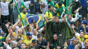 Mais de 40 hospitalizados ap&oacute;s raio atingir protesto pr&oacute;-Bolsonaro em Bras&iacute;lia