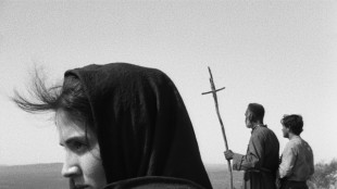 'Manifesti per un cinema libero', a Napoli film militanti dal mondo