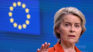 Von der Leyen en tourn&eacute;e dans les Balkans, &eacute;largissement et croissance au menu
