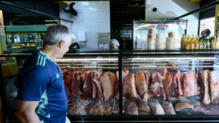 Brasil expressa 'profunda preocupa&ccedil;&atilde;o' por suspens&atilde;o de exporta&ccedil;&otilde;es de carne para UE