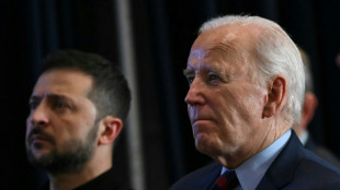 Biden annonce une aide militaire de 8 milliards de dollars &agrave; l'Ukraine avant de recevoir Zelensky