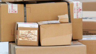 Paketflut aus Drittstaaten: B&uuml;ndnis fordert "konsequente Durchsetzung" von EU-Standards