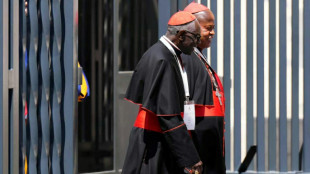 Los 16 cardenales "papables" de cara al cónclave