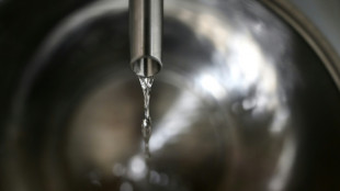 Europ&auml;ischer Gerichtshof: Alkoholfreies Getr&auml;nk darf nicht als Gin verkauft werden