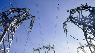 Consumi elettricit&agrave; risalgono nel 2024, domanda +2%