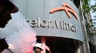 ArcelorMittal: les salariés à Paris, pour du métal, avec ou "sans Mittal"