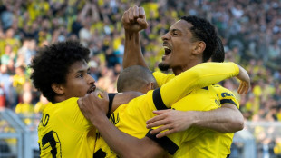 Hamann glaubt an gro&szlig;e Titelchance des BVB