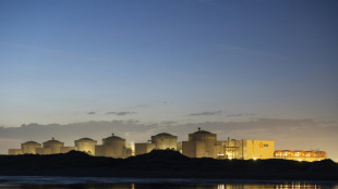 Quatre unités de la centrale nucléaire de Gravelines à l'arrêt à cause de méduses
