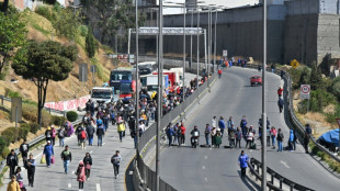 Bolivie : gr&egrave;ve du secteur des transports &agrave; La Paz contre la p&eacute;nurie d'essence
