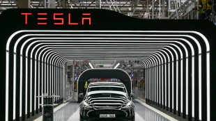 Arr&ecirc;t de la production dans l'usine allemande de Tesla apr&egrave;s un incendie volontaire
