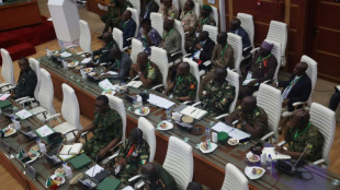 Cuenta atr&aacute;s para una posible intervenci&oacute;n militar en N&iacute;ger