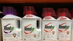 Glyphosate: des ONG s'inquiètent après une étude évoquant des risques de cancer